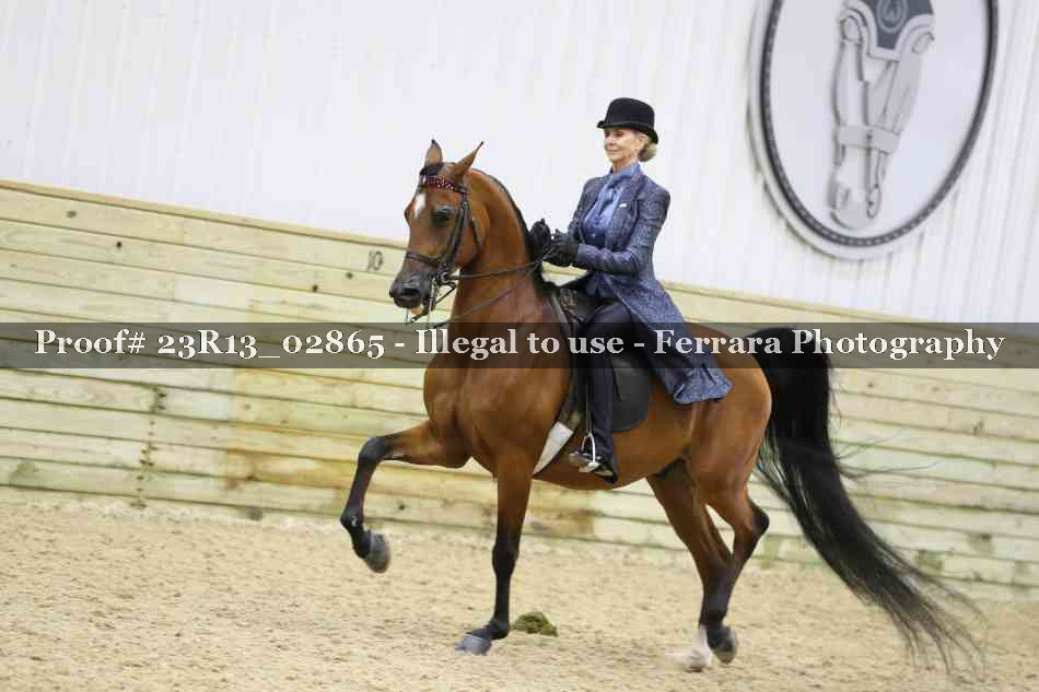 Proof 23R13_02865