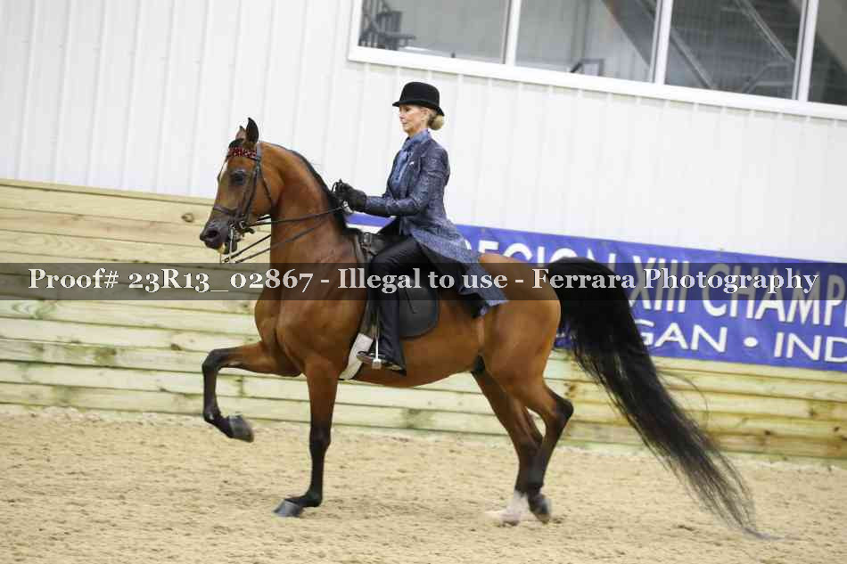Proof 23R13_02867