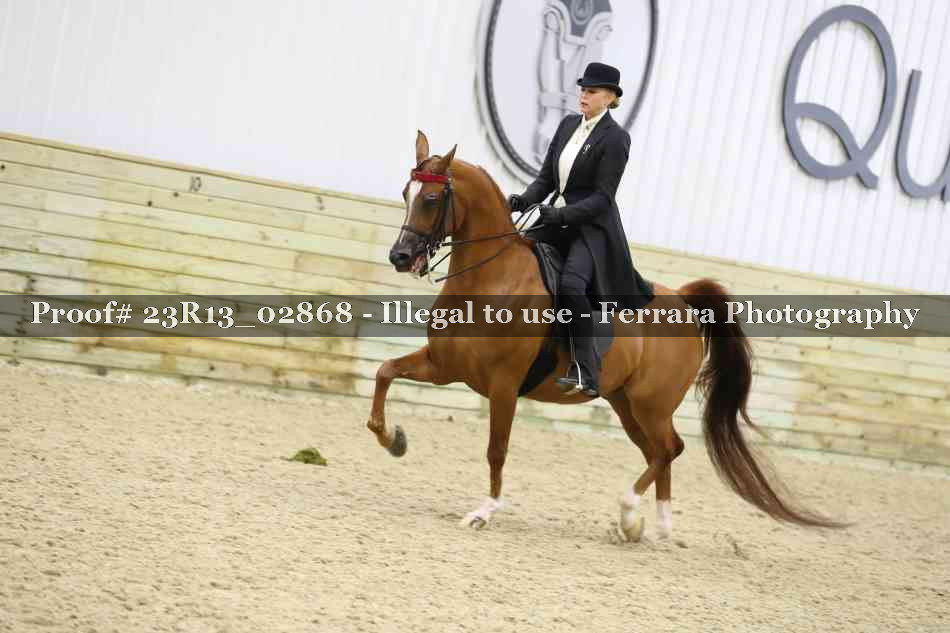 Proof 23R13_02868