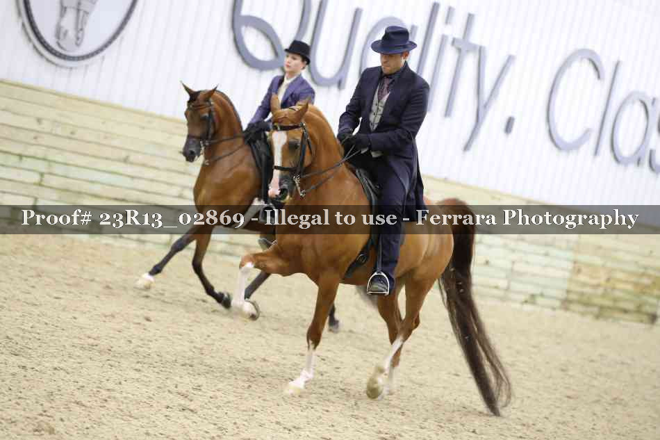 Proof 23R13_02869