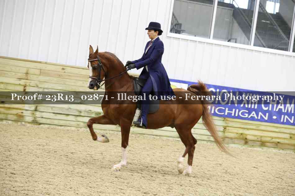Proof 23R13_02871