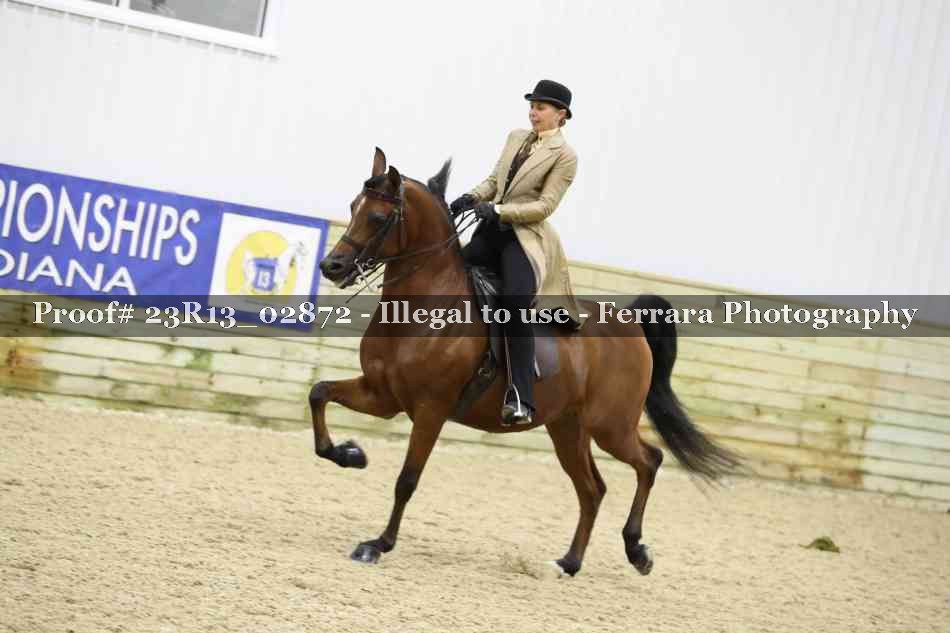 Proof 23R13_02872