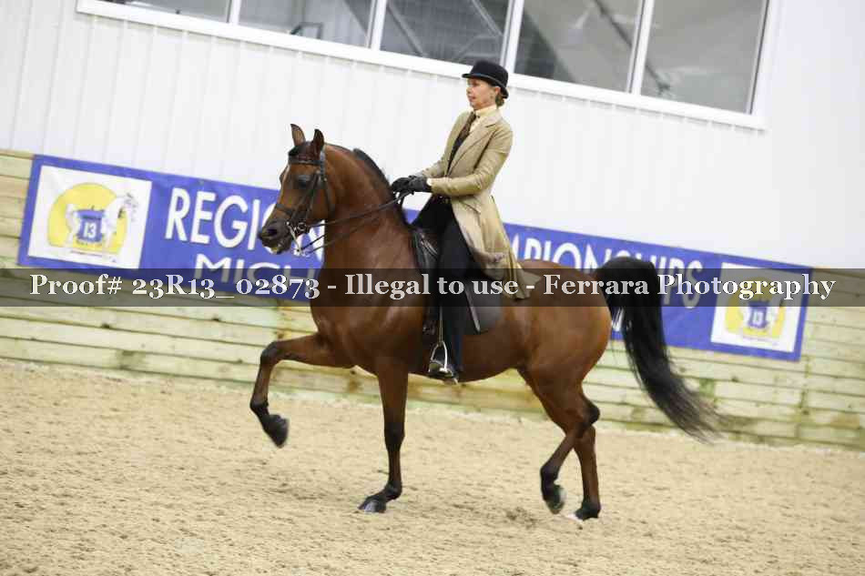 Proof 23R13_02873