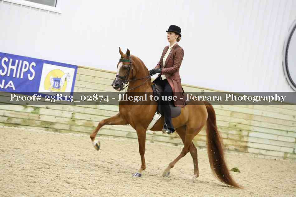 Proof 23R13_02874