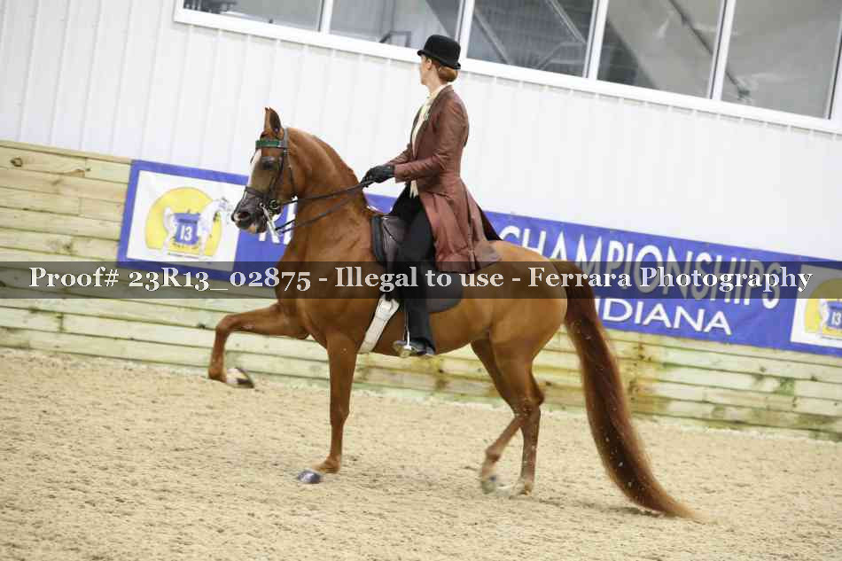 Proof 23R13_02875
