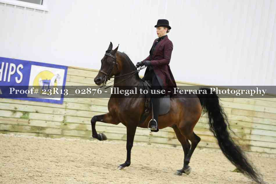Proof 23R13_02876