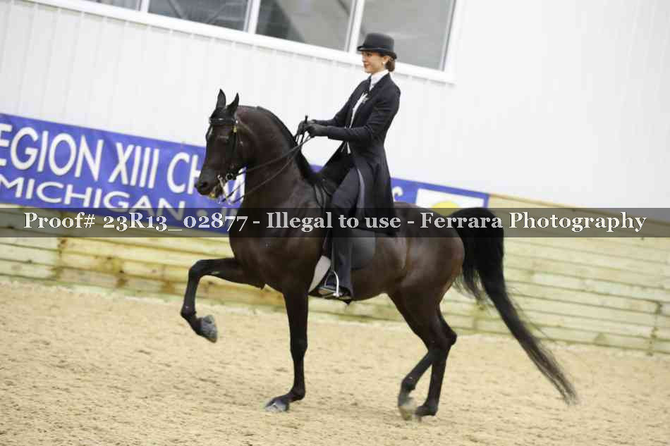 Proof 23R13_02877