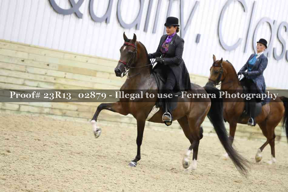 Proof 23R13_02879