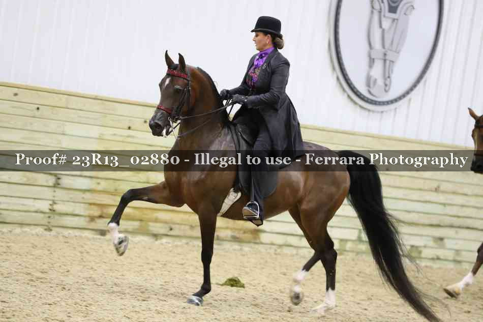 Proof 23R13_02880