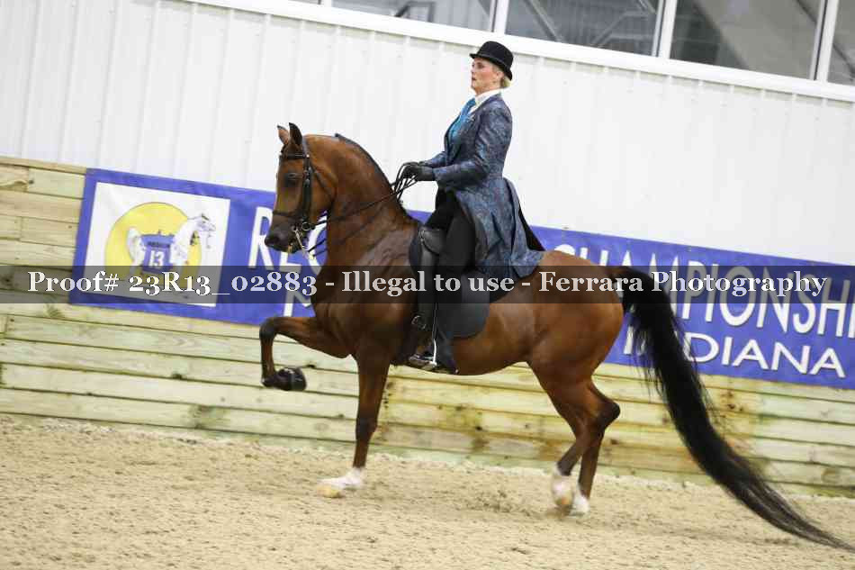 Proof 23R13_02883