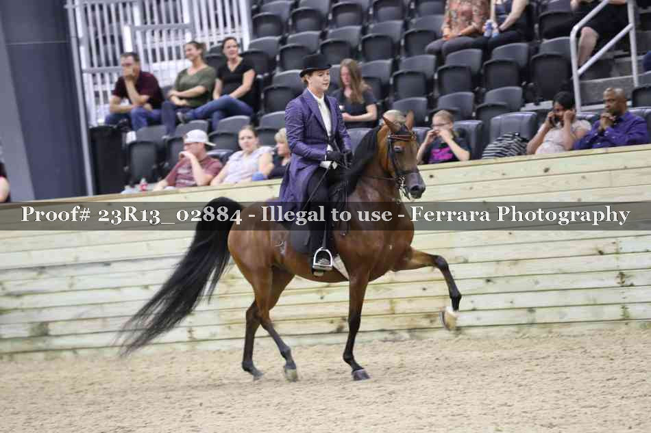 Proof 23R13_02884