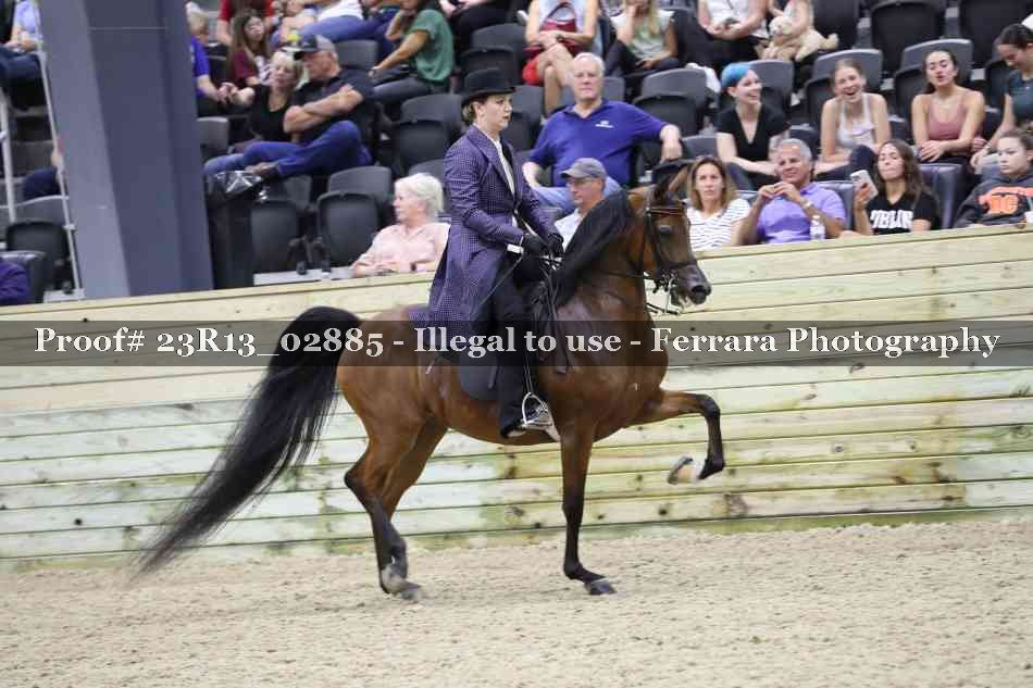 Proof 23R13_02885