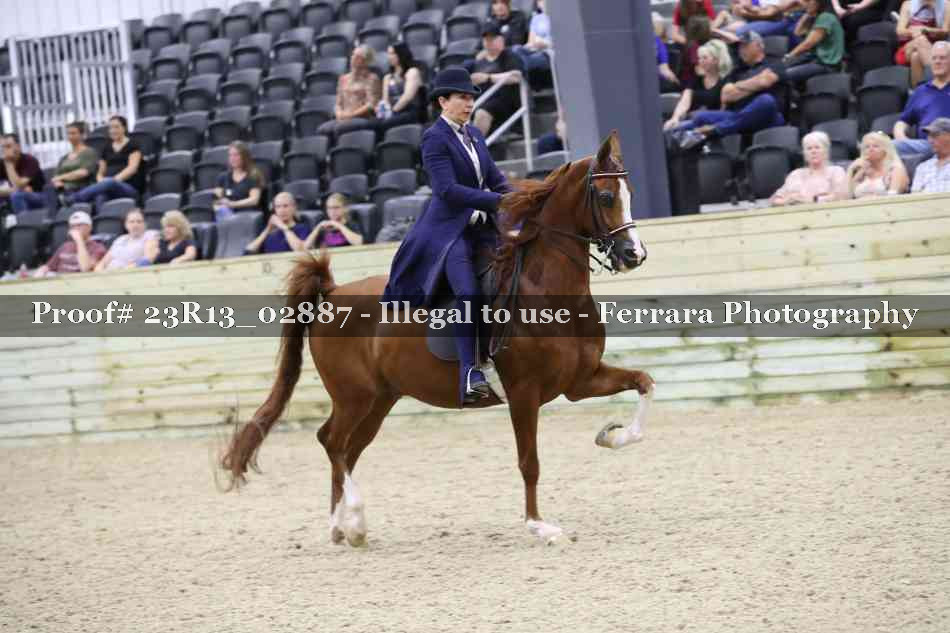 Proof 23R13_02887