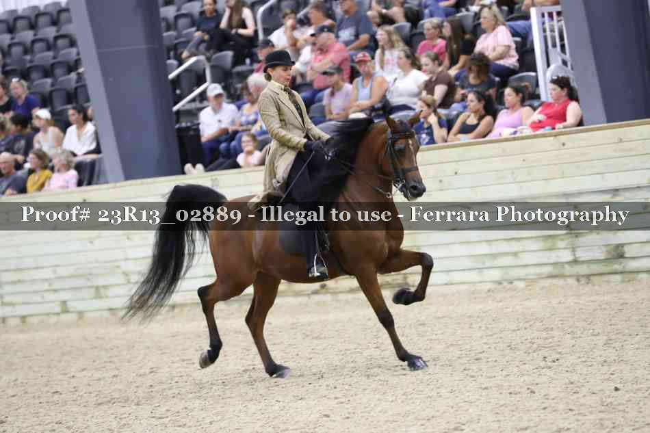 Proof 23R13_02889