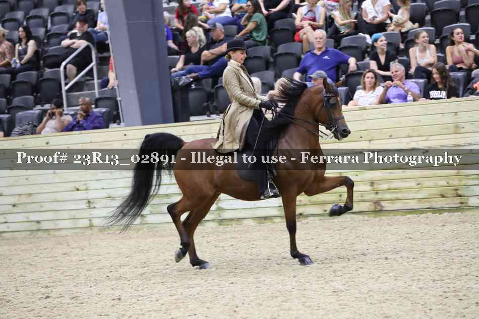 Proof 23R13_02891