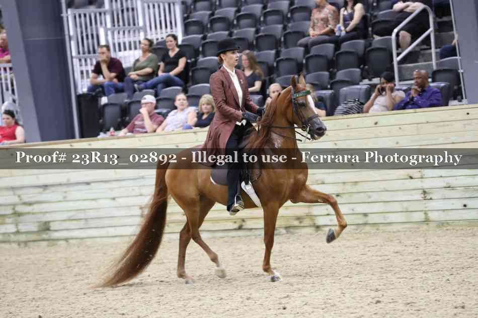 Proof 23R13_02892