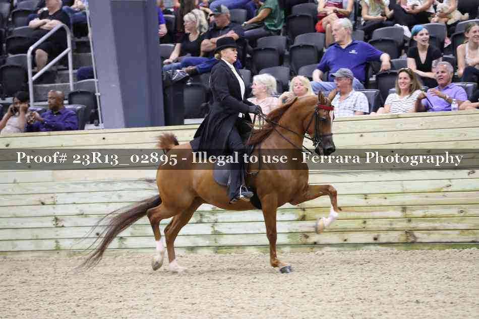 Proof 23R13_02895
