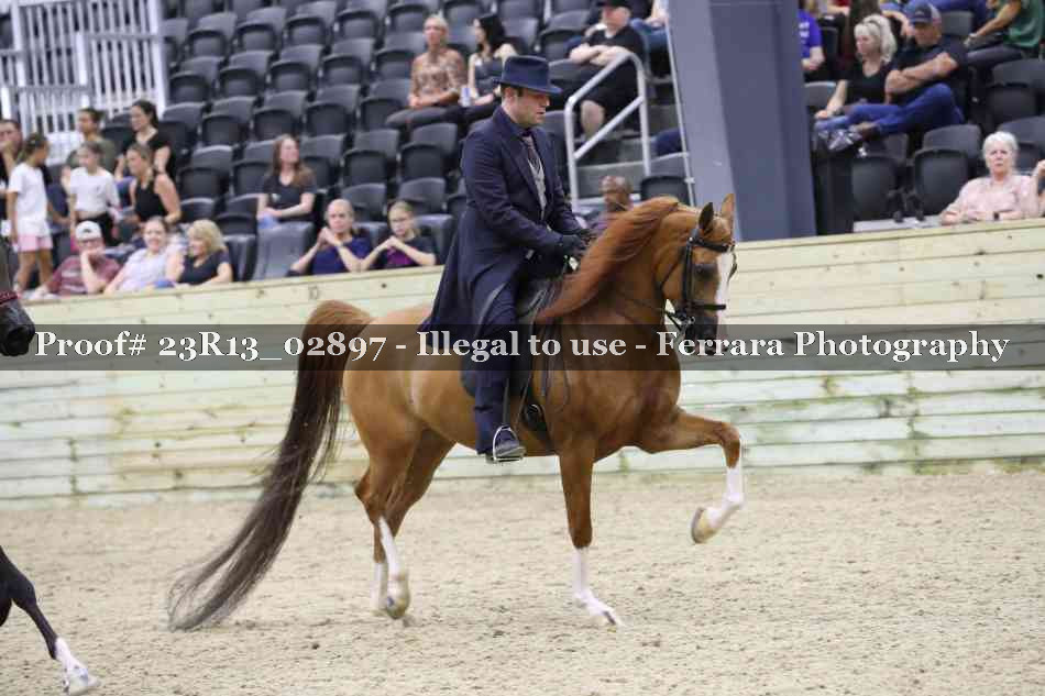 Proof 23R13_02897