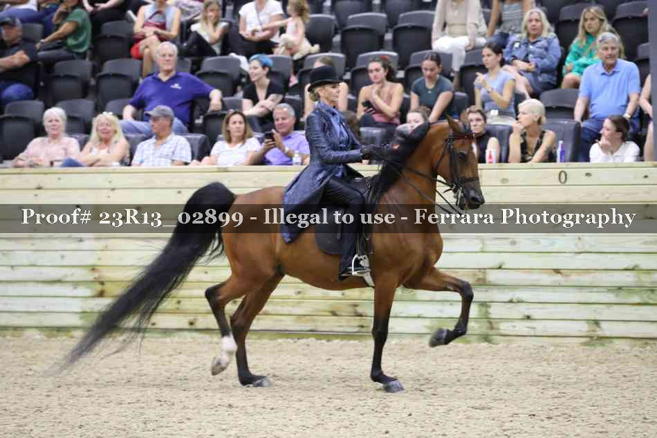 Proof 23R13_02899
