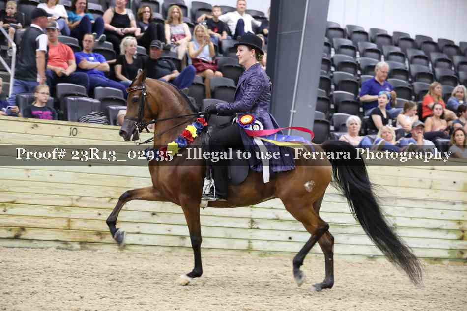 Proof 23R13_02935
