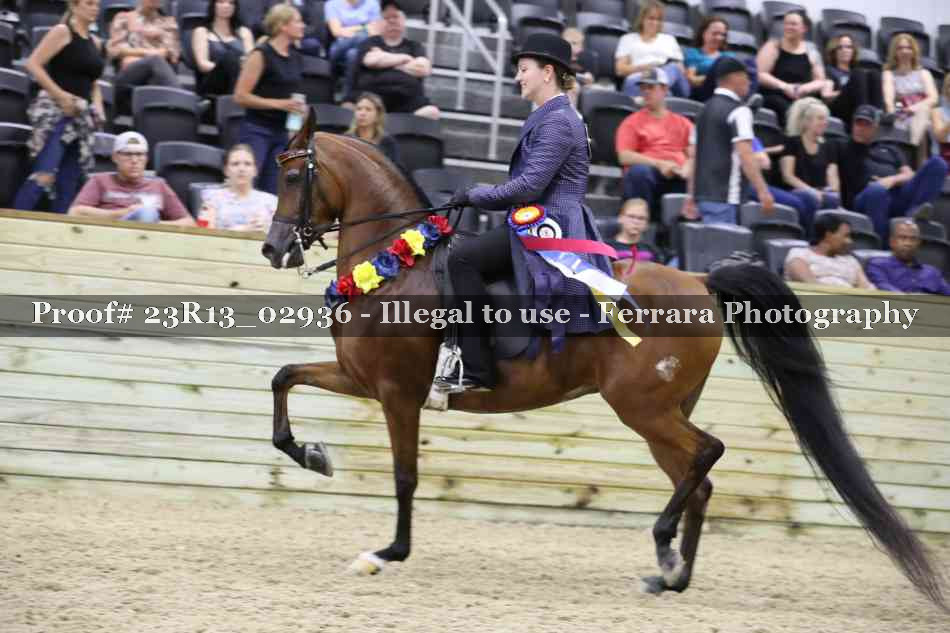 Proof 23R13_02936