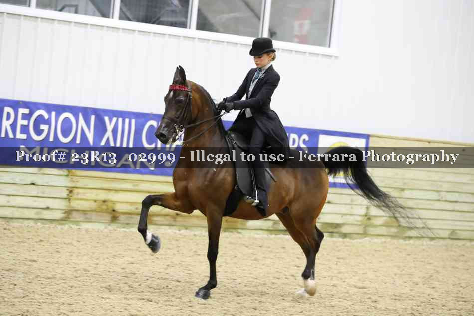 Proof 23R13_02999