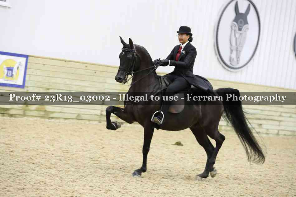 Proof 23R13_03002