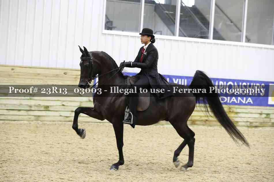 Proof 23R13_03003