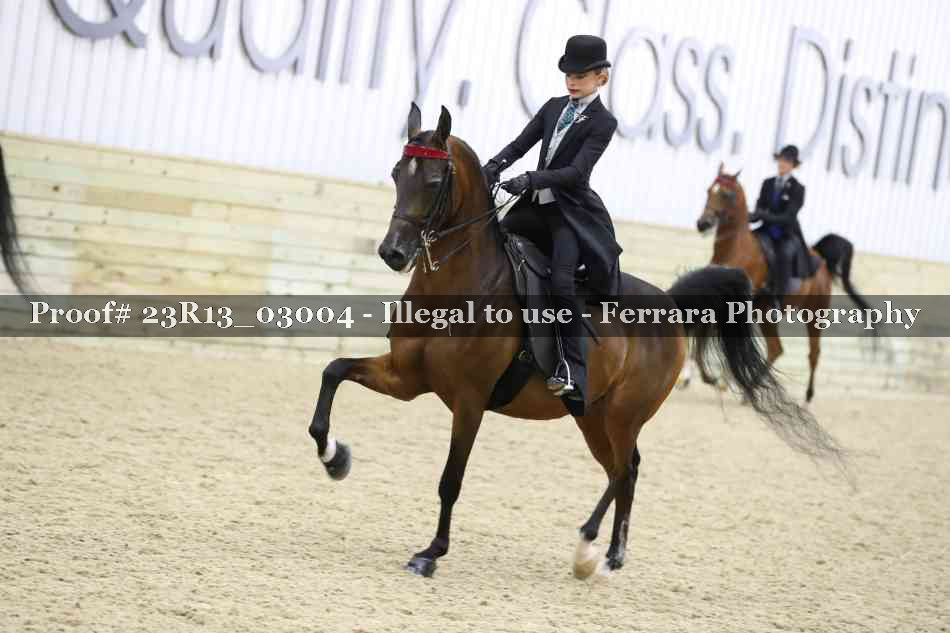 Proof 23R13_03004