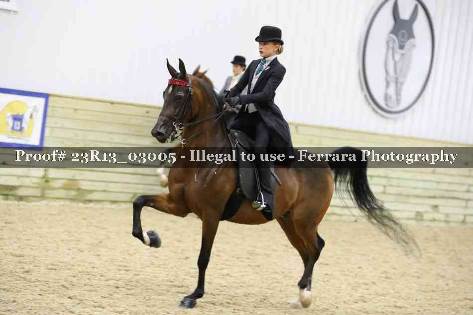 Proof 23R13_03005