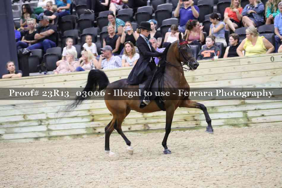 Proof 23R13_03006