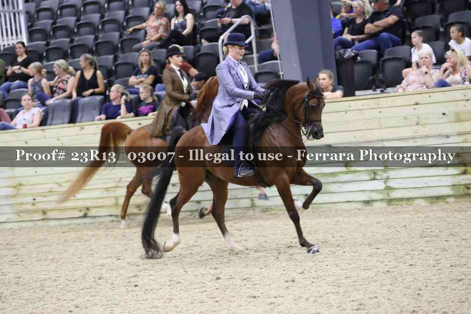 Proof 23R13_03007