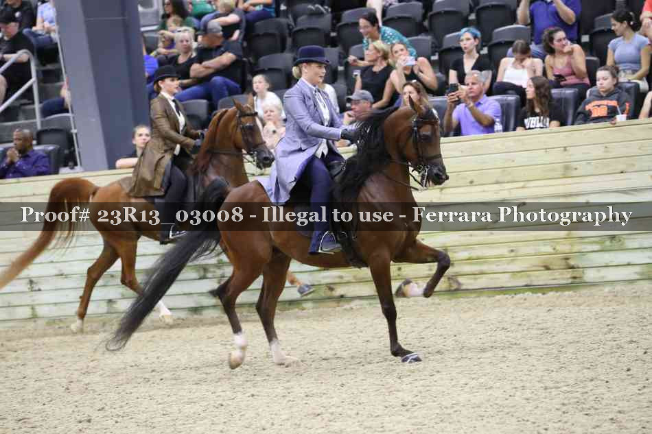 Proof 23R13_03008
