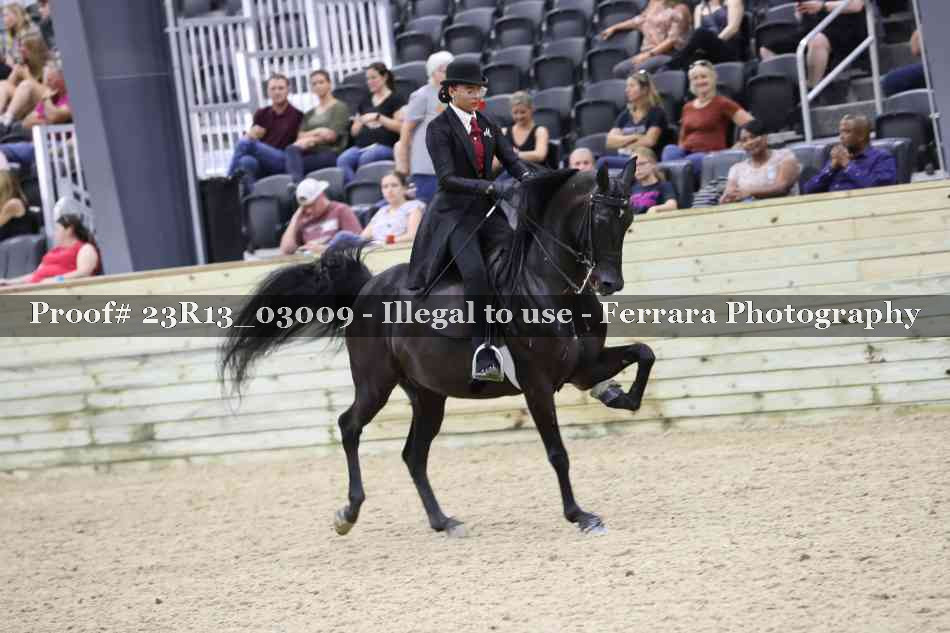 Proof 23R13_03009