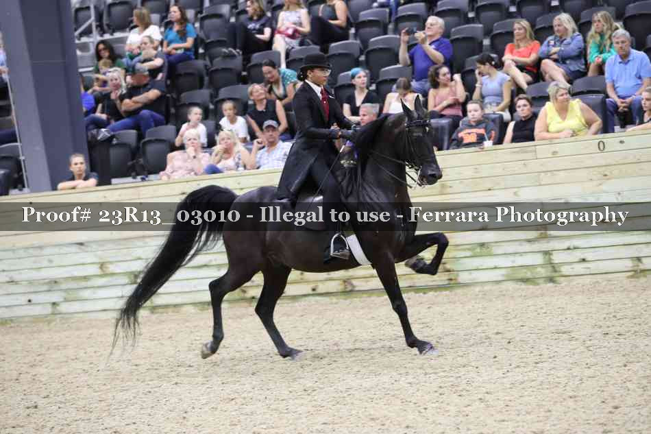 Proof 23R13_03010