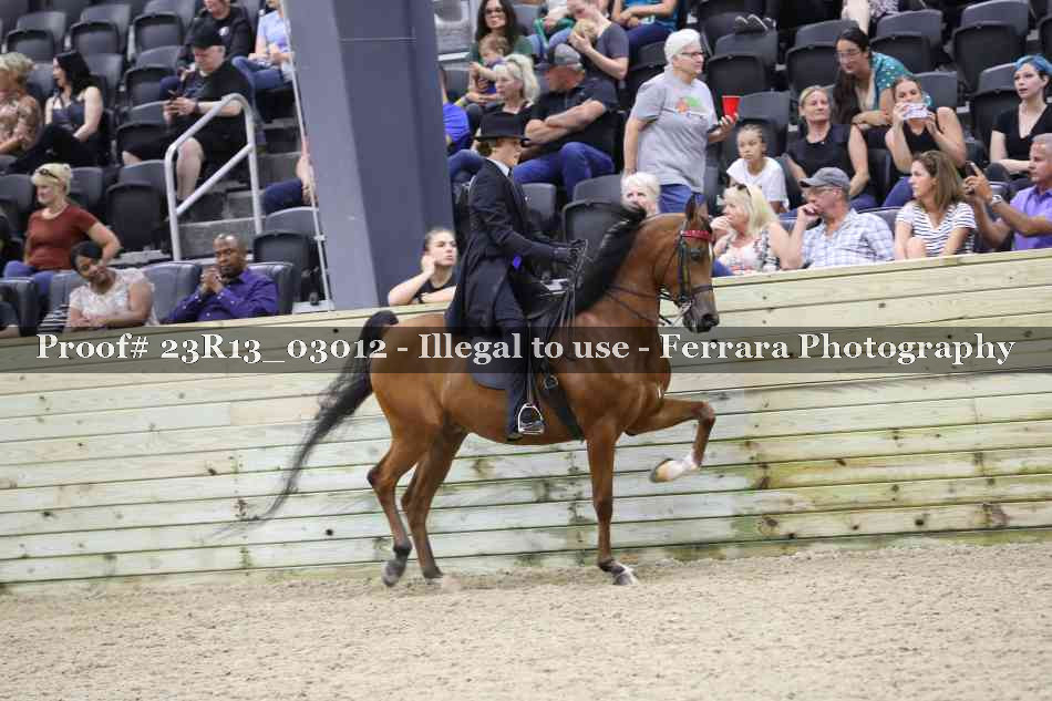 Proof 23R13_03012