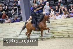 23R13_03012 proof