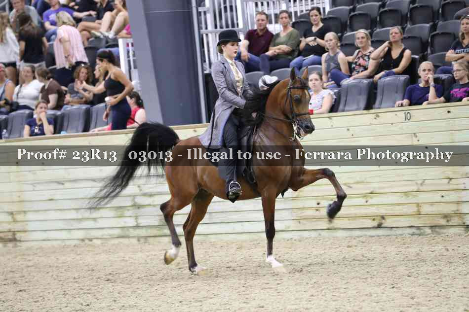 Proof 23R13_03013