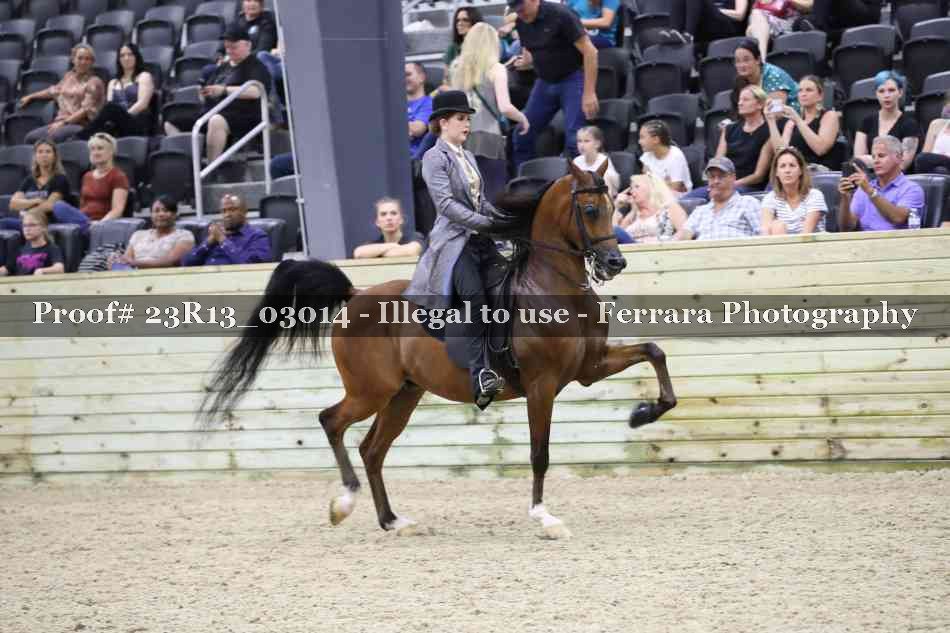 Proof 23R13_03014