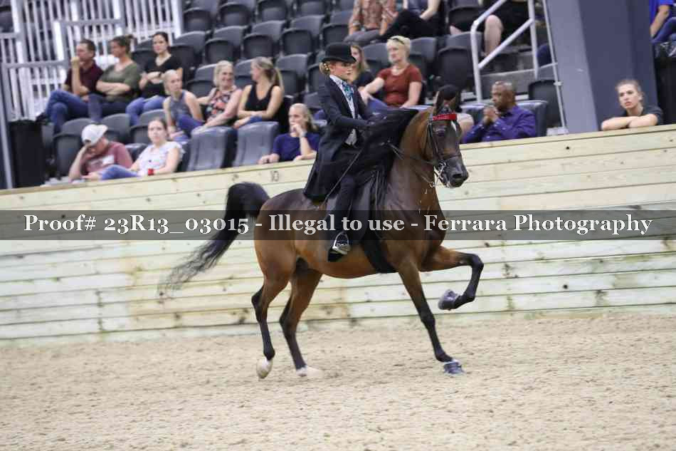 Proof 23R13_03015