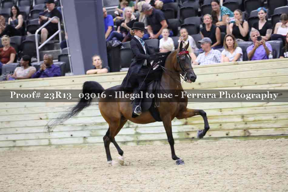 Proof 23R13_03016