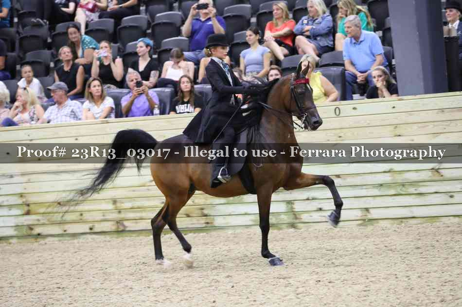 Proof 23R13_03017