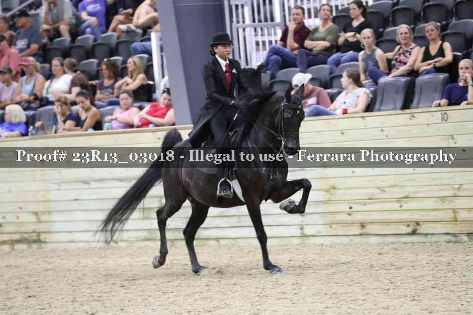 Proof 23R13_03018