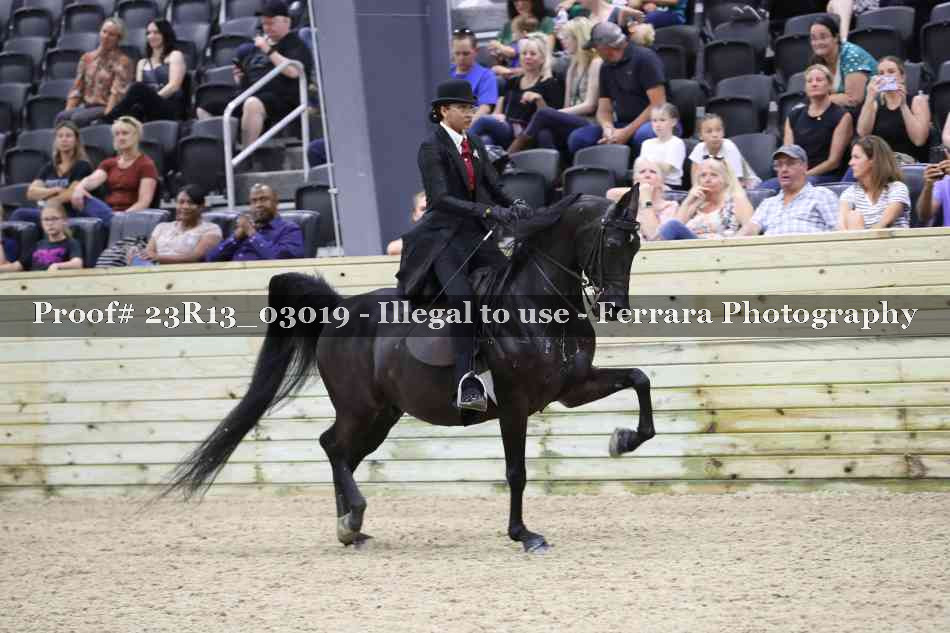 Proof 23R13_03019