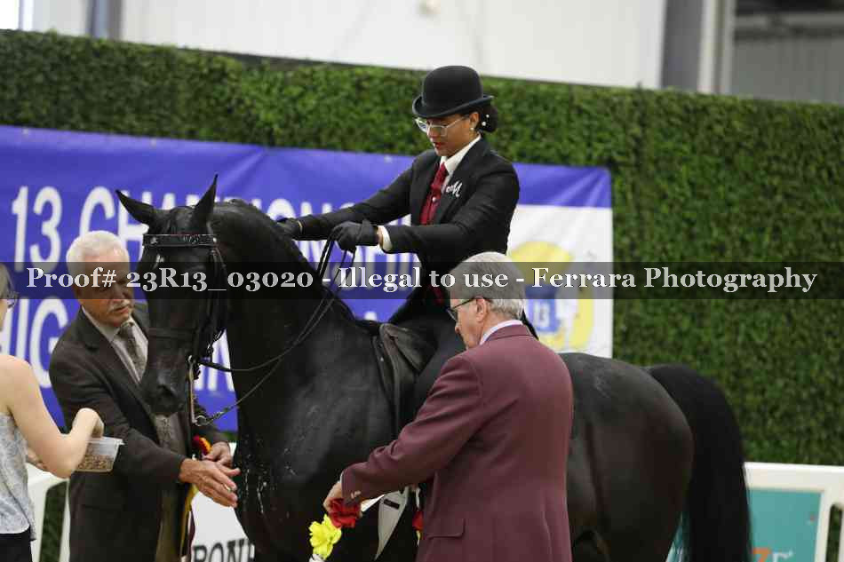 Proof 23R13_03020