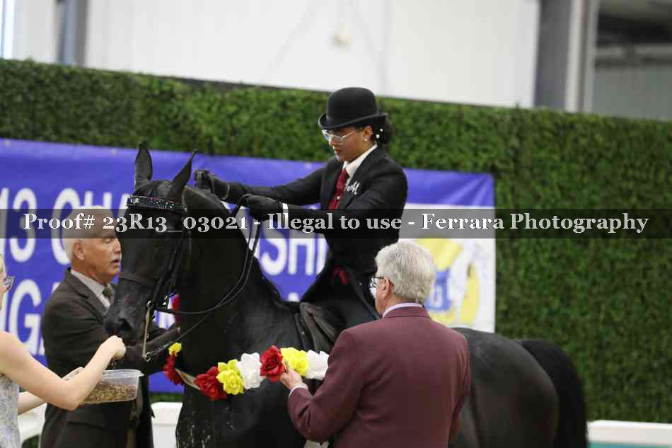 Proof 23R13_03021