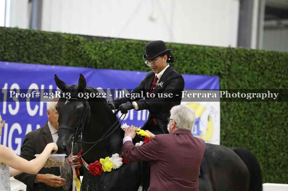 Proof 23R13_03022