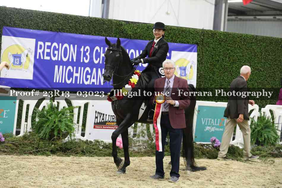 Proof 23R13_03023