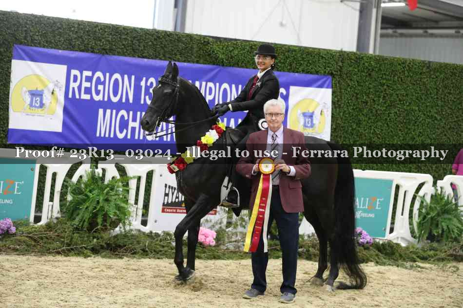 Proof 23R13_03024