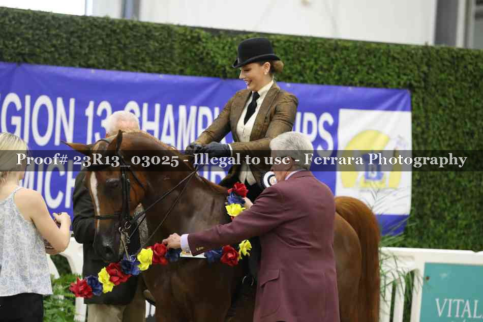 Proof 23R13_03025